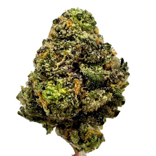 LONDON JEALOUSLY Sativa by Carolina Hemp Cafe THCA Cannabis Delta-9 Indoor-Grown Top Shelf Flower Trap Teddy