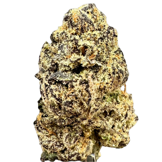 PURPLE RUNTZ Hybrid - by Carolina Hemp Cafe - THCA Cannabis Delta-9 Indoor-Grown Top Shelf Flower Carolina Hemp Cafe