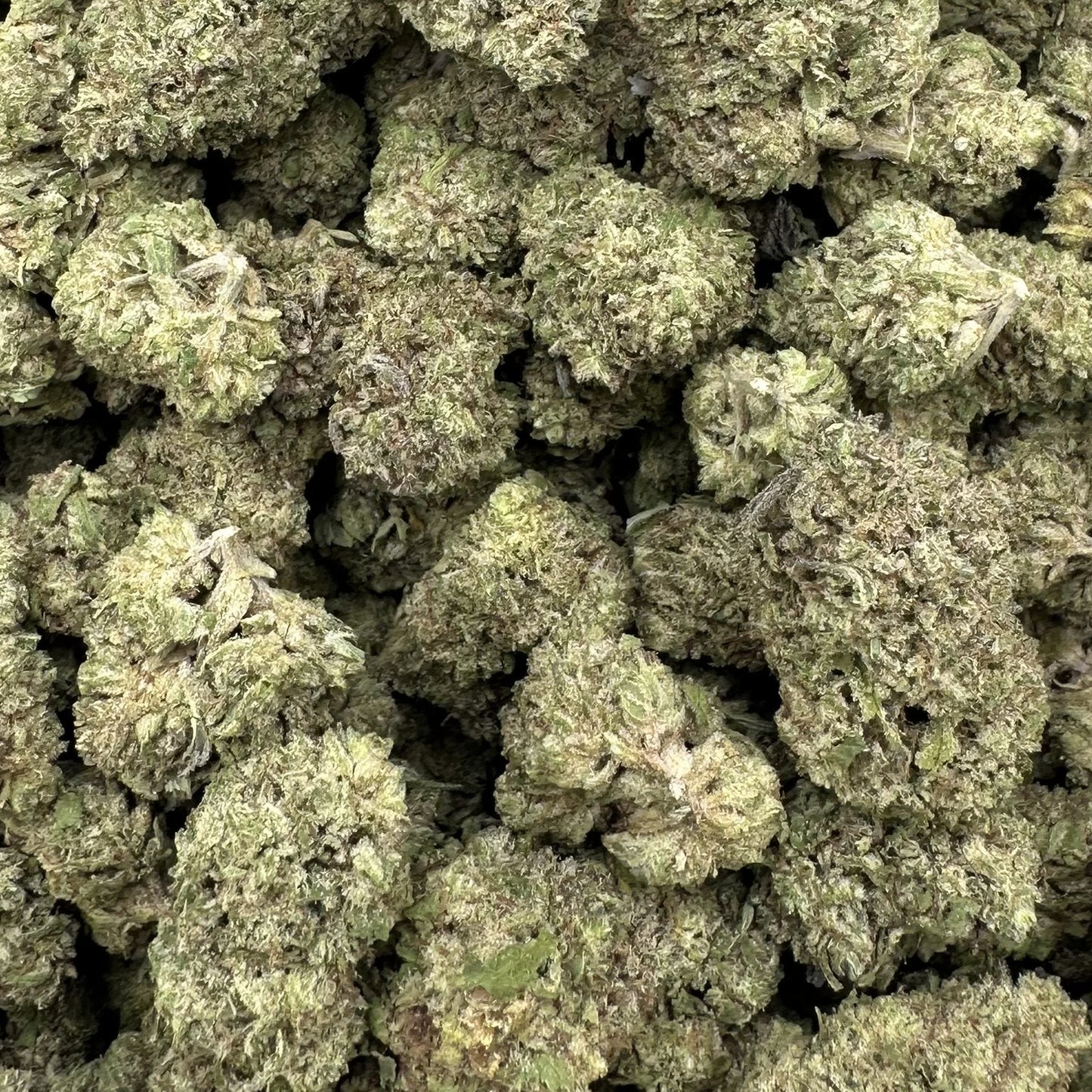 Close-up of a pile of green cannabis buds in a clear plastic bag.