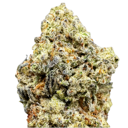 A close-up image of Pineapple OG Express THCA flower, showcasing its dense, woolly appearance with a green coloration, characteristic of cannabis.