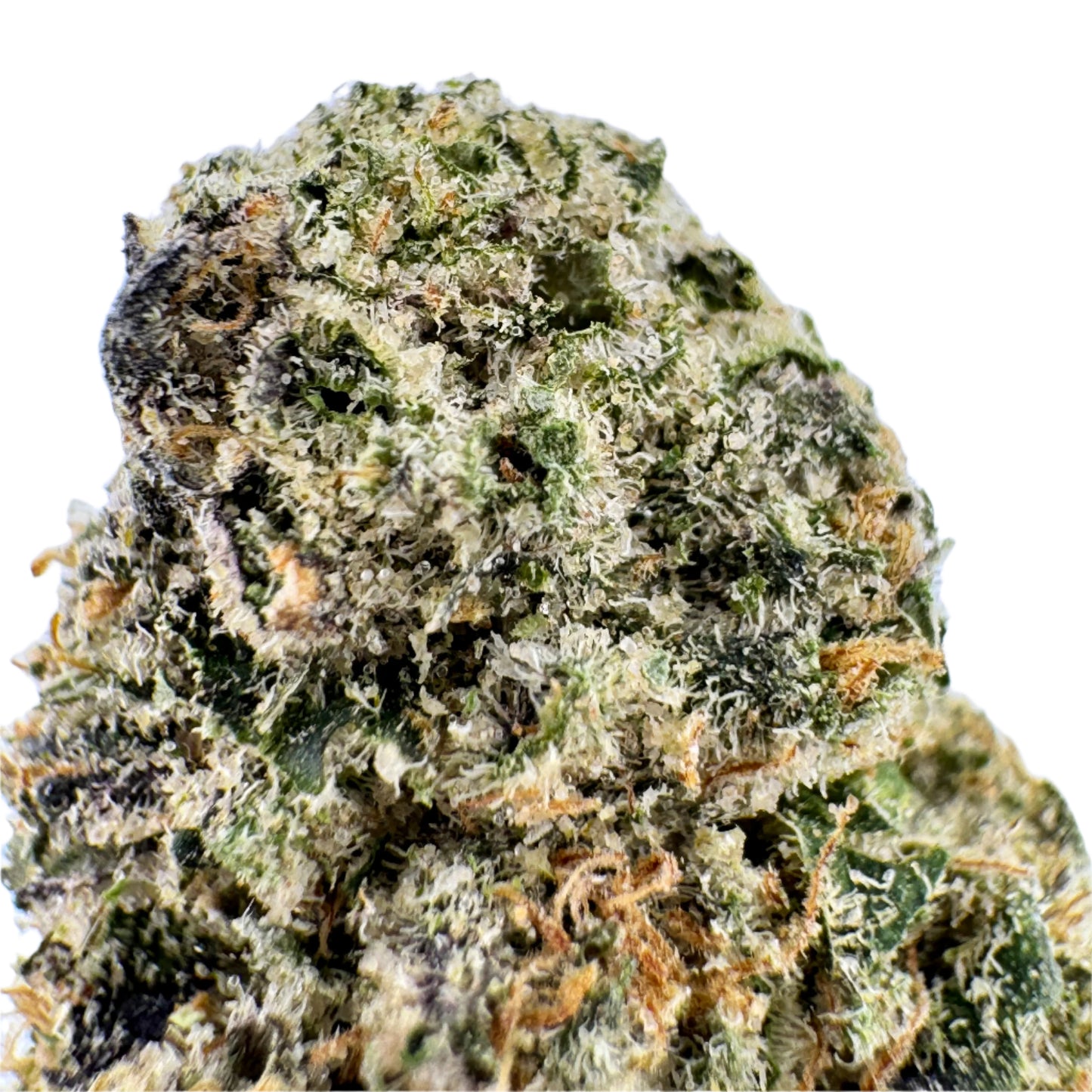 FORBIDDEN RUNTZ – 27.7% THCA (Indica)