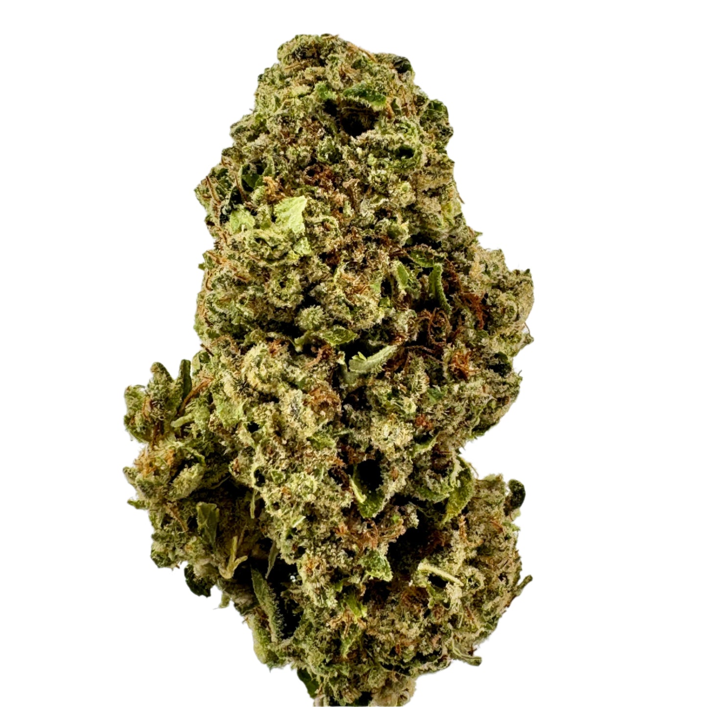 Close-up of a cannabis bud on a white background
