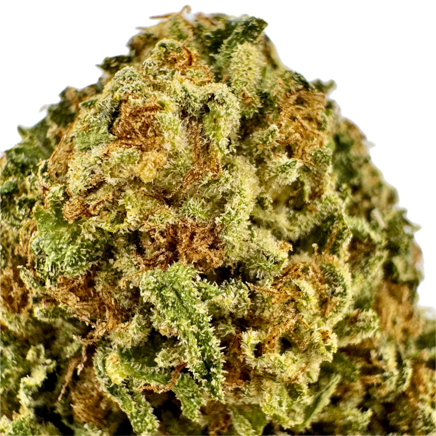Close-up of a cannabis bud with green and brown hues on a white background