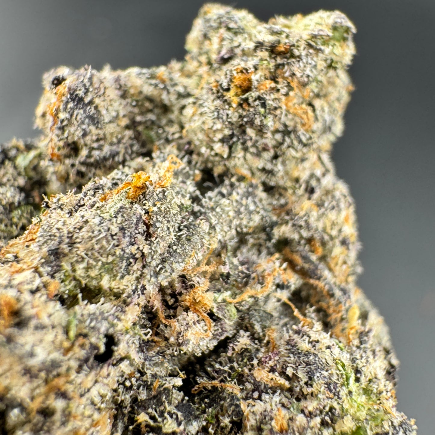 Close-up of a cannabis bud with a gray background