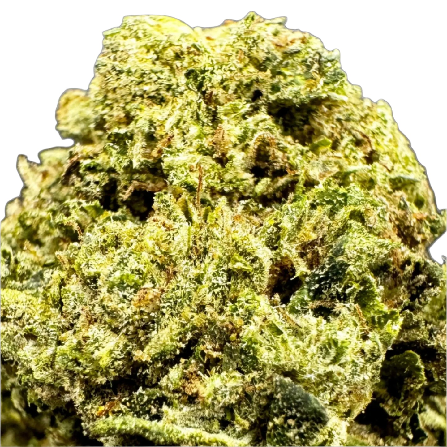 Durban Poison - Sativa - 21.8% Delta-9 THA Flower Product vendor THCA Flower Carolina Hemp Cafe