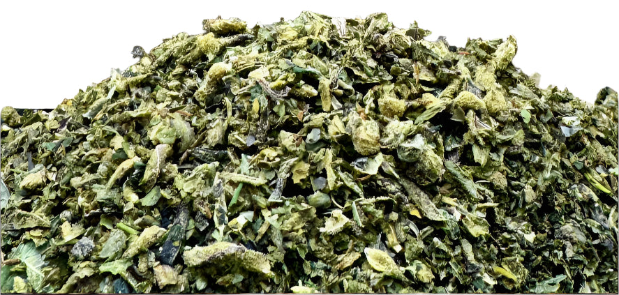 Close-up of green hemp leaves on a white background