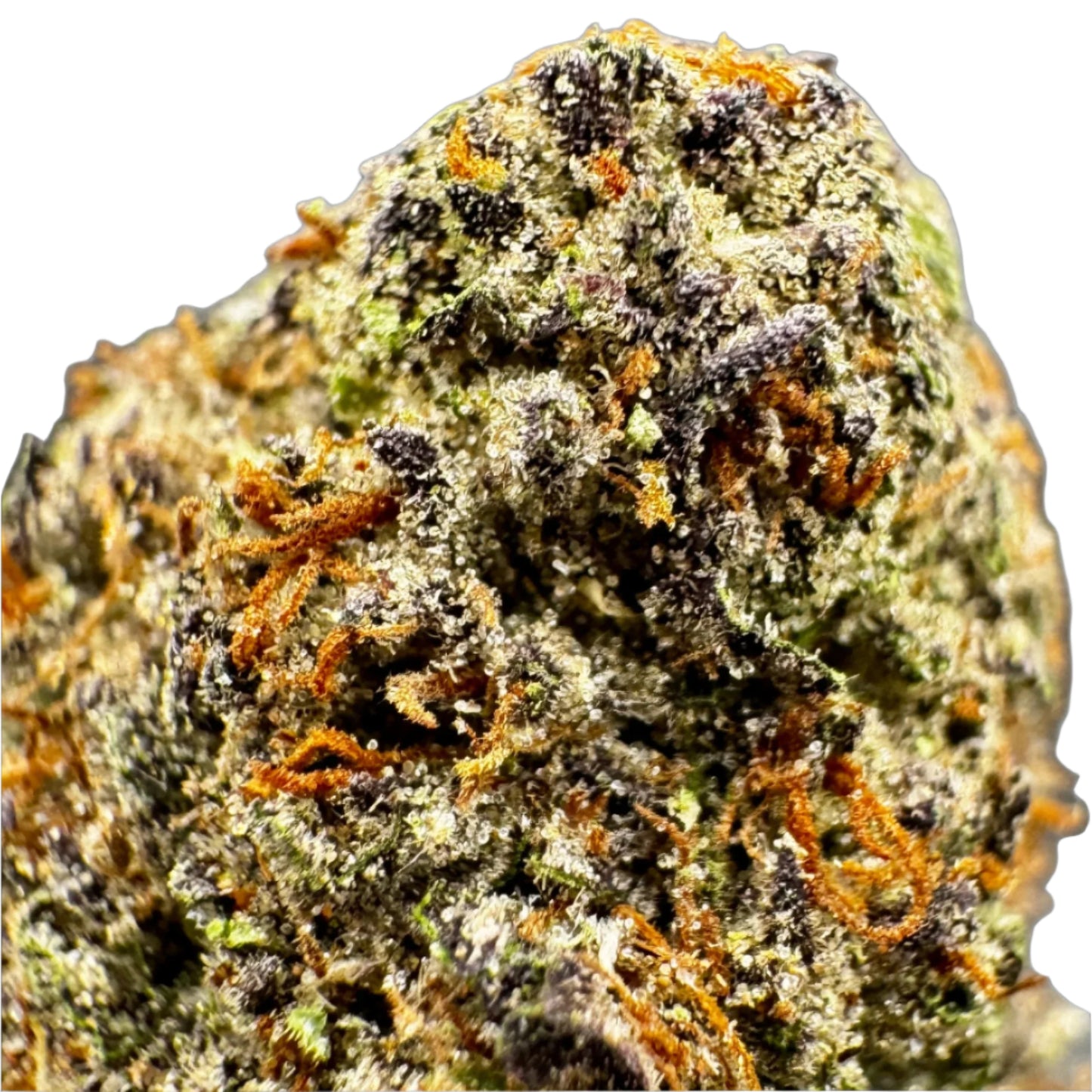 close up of cannabis flower bud
