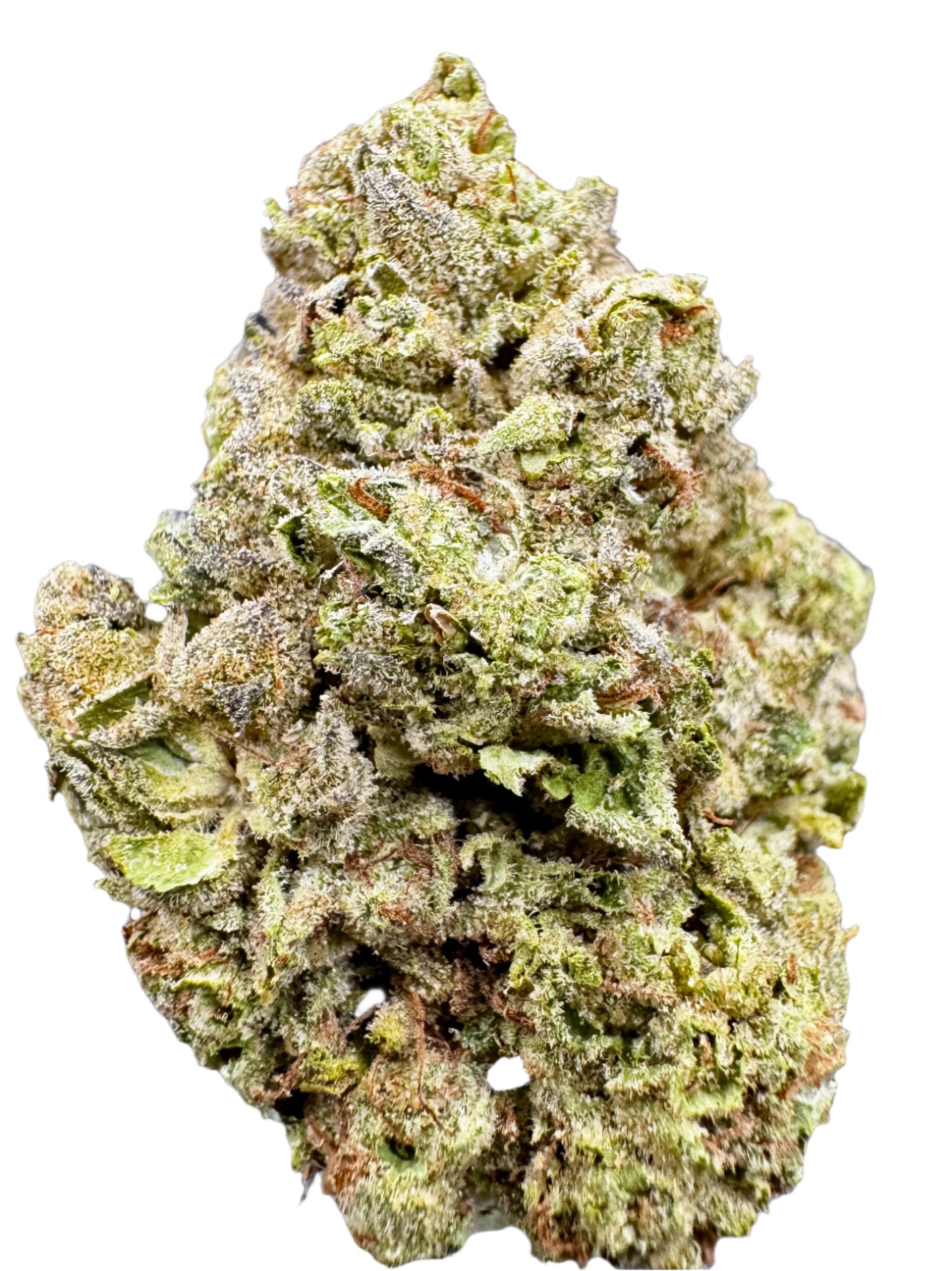 bright green cannabis flower bud on White background