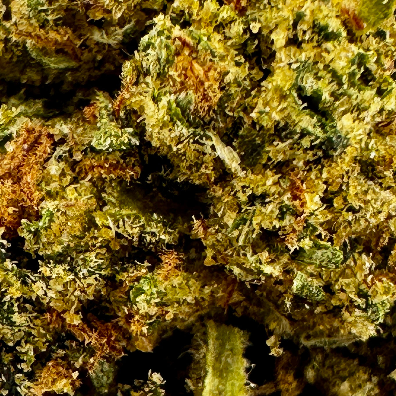Close up of THCA flower