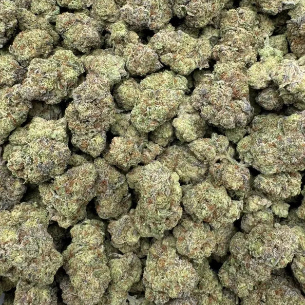 Close-up of cannabis buds in a clear plastic bag