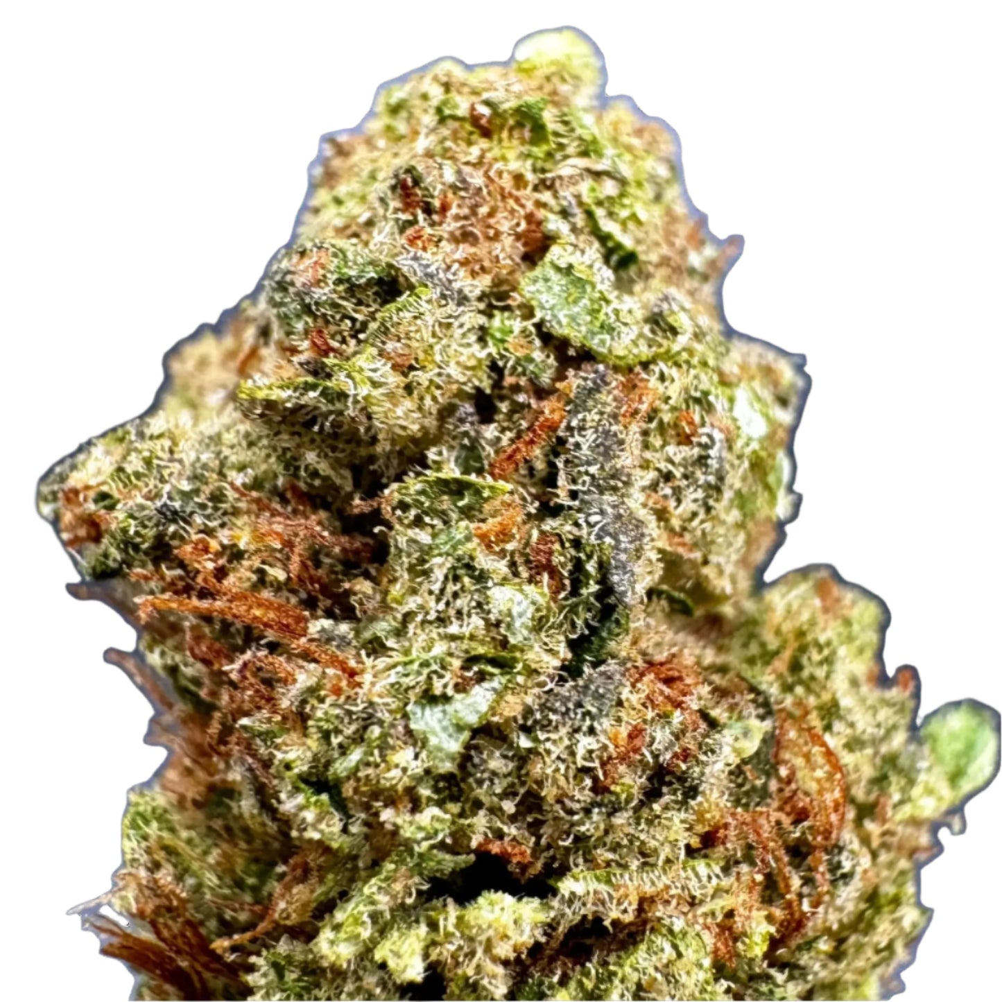 RAINBOW RUNTZ Hybrid - by Carolina Hemp Cafe- THCA Cannabis Delta-9 Indoor-Grown Top Shelf Flower Carolina Hemp Cafe