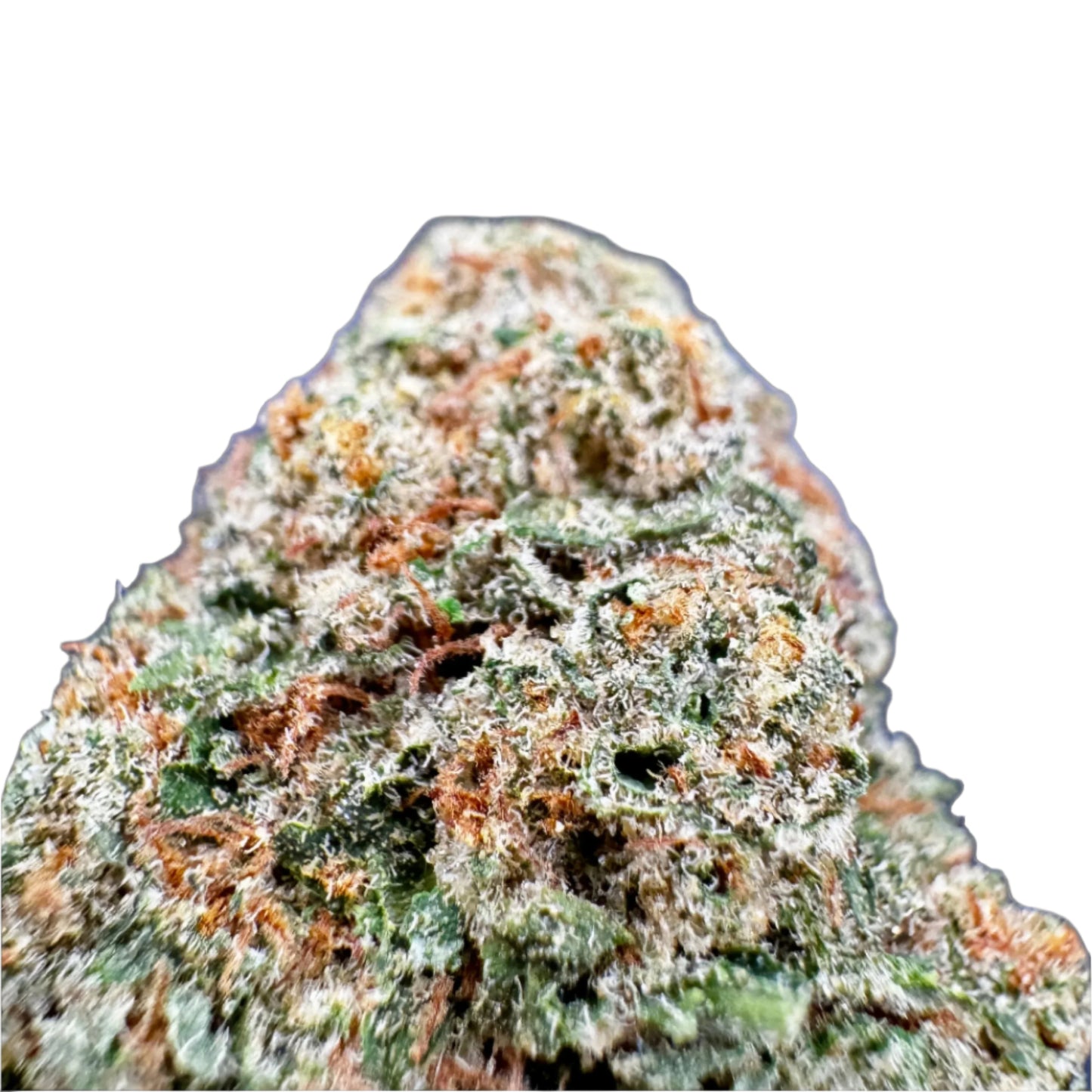 close up of super lemon Haze cannabis hemp flower Nug bud