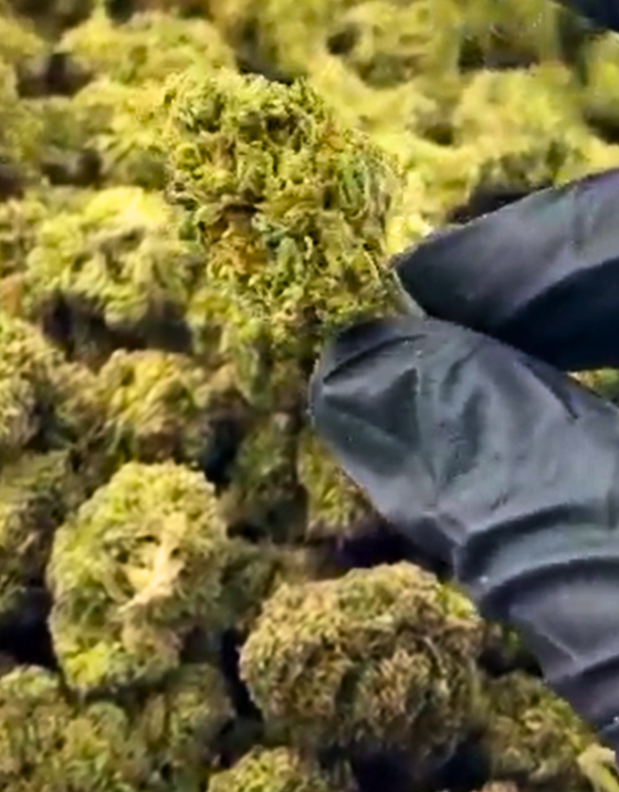 Bulk Permanent Marker – Indica 33.6% THCA Exotic Flower