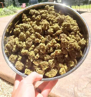 large metal mixing Bowl of Ice Creak Cake bulk thca flower held by left hand