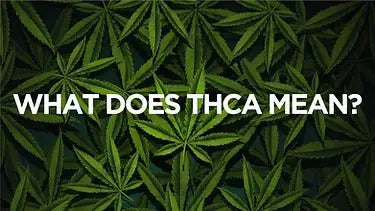 Therapeutic-Potential-of-THCA-Benefits-and-Considerations Carolina Hemp Cafe