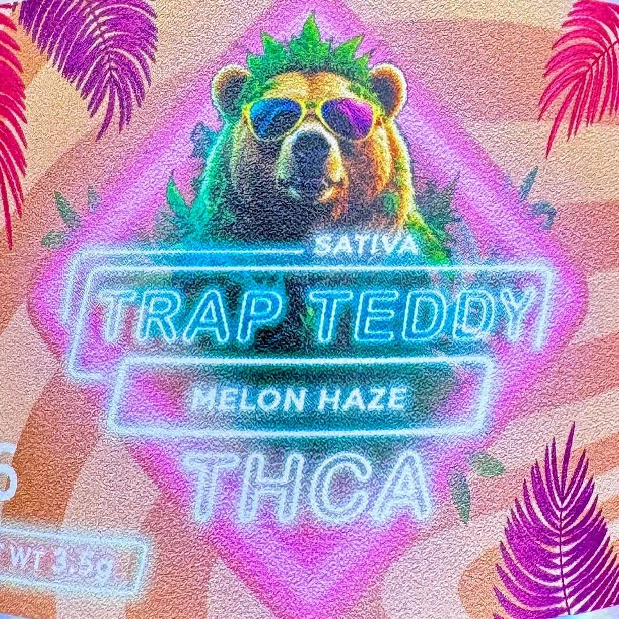 MELON HAZE by Trap Teddy Sativa THCA Flower Cannabis Delta-9 Indoor-Grown Top Shelf Flower Trap Teddy