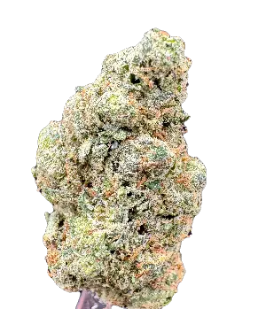 BLUE DREAM - Hybrid - THCA Cannabis Delta-9 Indoor-Grown Top Shelf Flower Carolina Hemp Cafe