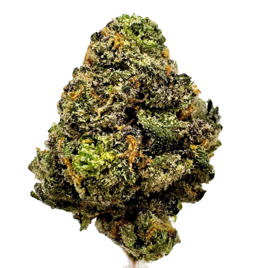 LONDON JEALOUSLY Sativa by Trap Teddy THCA Cannabis Delta-9 Indoor-Grown Top Shelf Flower Trap Teddy