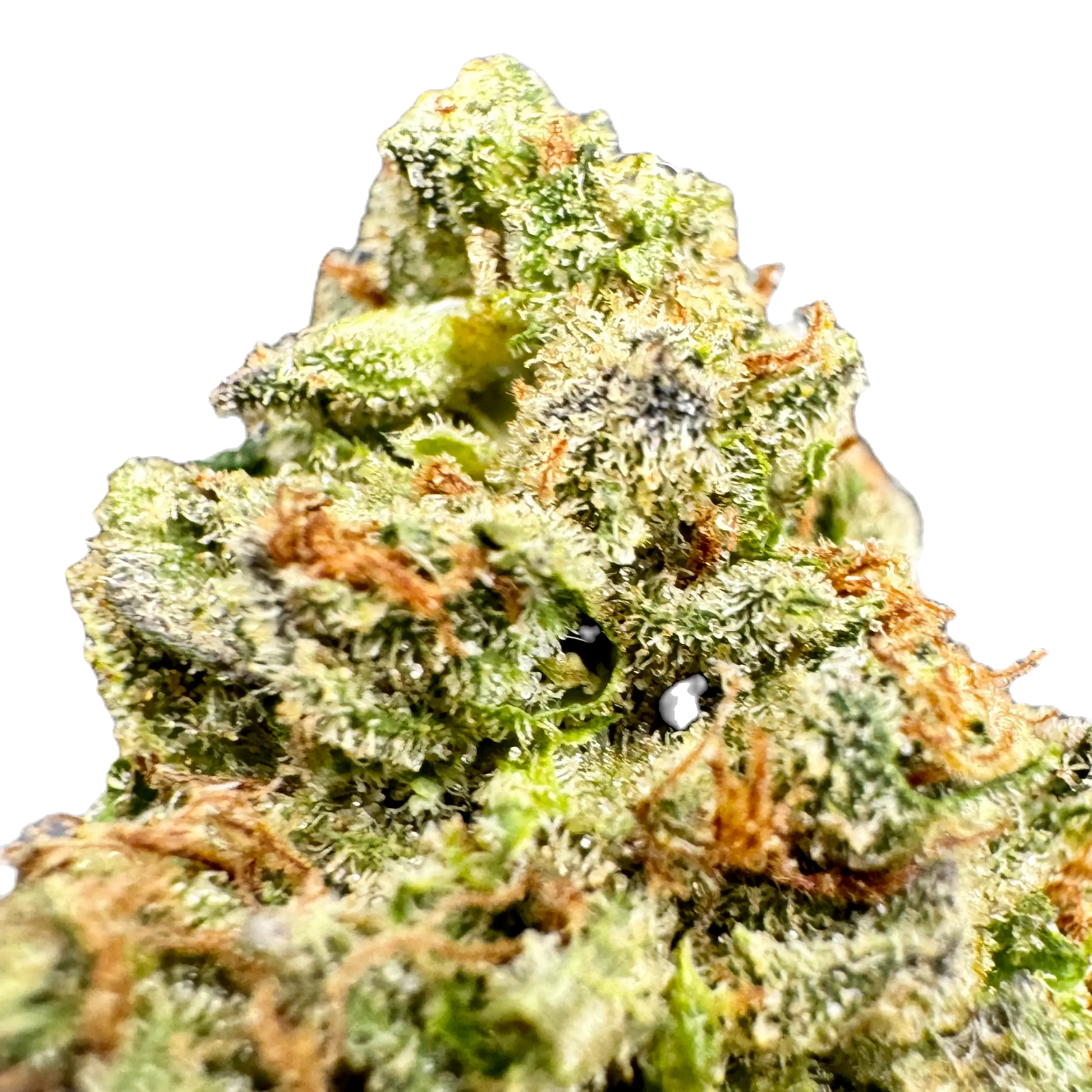 LEMON-CHERRY GELATO Indica by Carolina Hemp Cafe - THCA Cannabis Delta-9 Indoor-Grown Top Shelf Flower Carolina Hemp Cafe