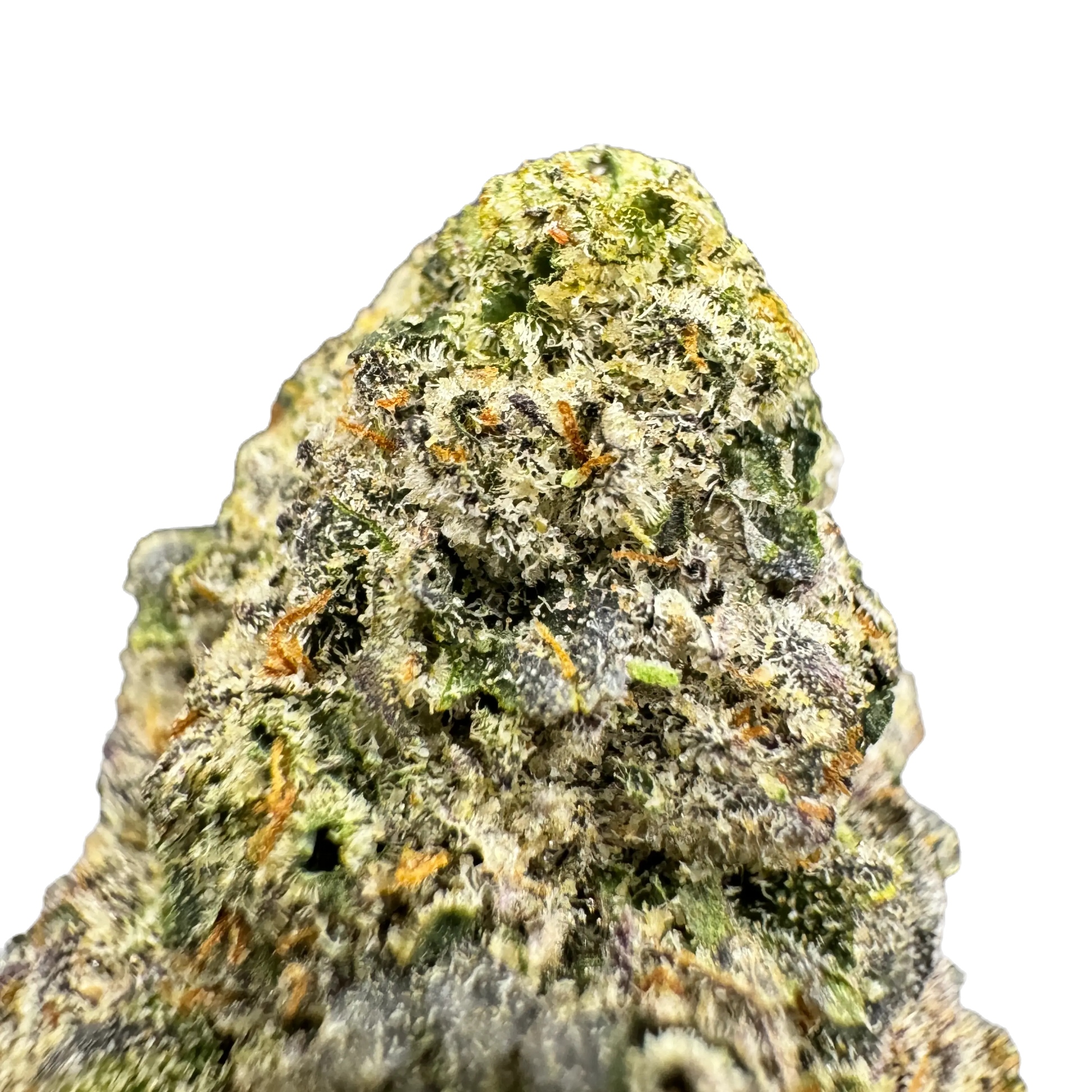 MELON HAZE by Trap Teddy Sativa THCA Flower Cannabis Delta-9 Indoor-Grown Top Shelf Flower Trap Teddy