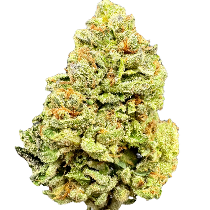 LEMON-CHERRY GELATO Indica by Carolina Hemp Cafe - THCA Cannabis Delta-9 Indoor-Grown Top Shelf Flower Carolina Hemp Cafe