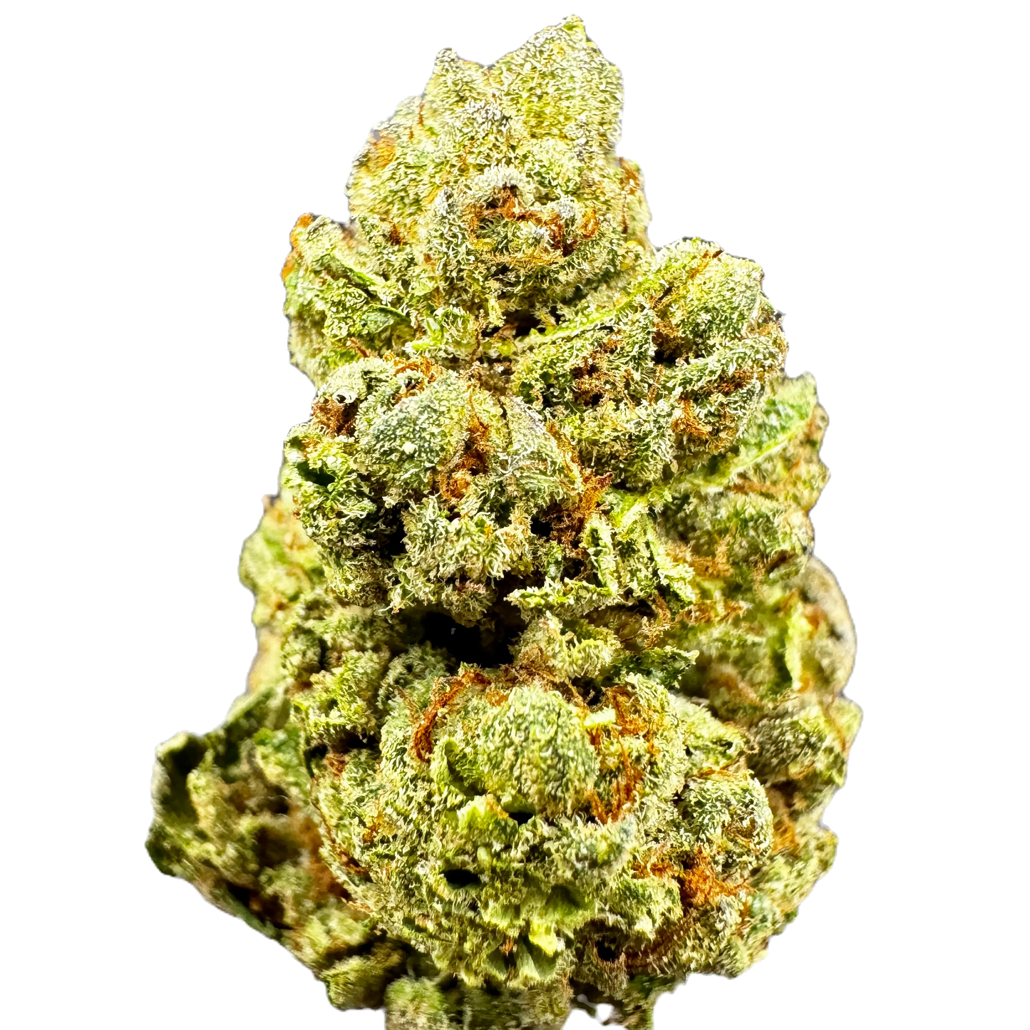 LEMON-CHERRY GELATO Indica by Carolina Hemp Cafe - THCA Cannabis Delta-9 Indoor-Grown Top Shelf Flower Carolina Hemp Cafe