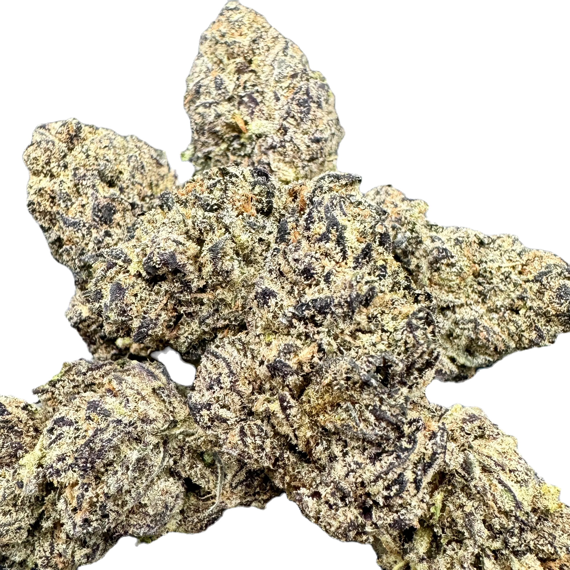 PURPLE RUNTZ Hybrid - by Carolina Hemp Cafe - THCA Cannabis Delta-9 Indoor-Grown Top Shelf Flower Carolina Hemp Cafe