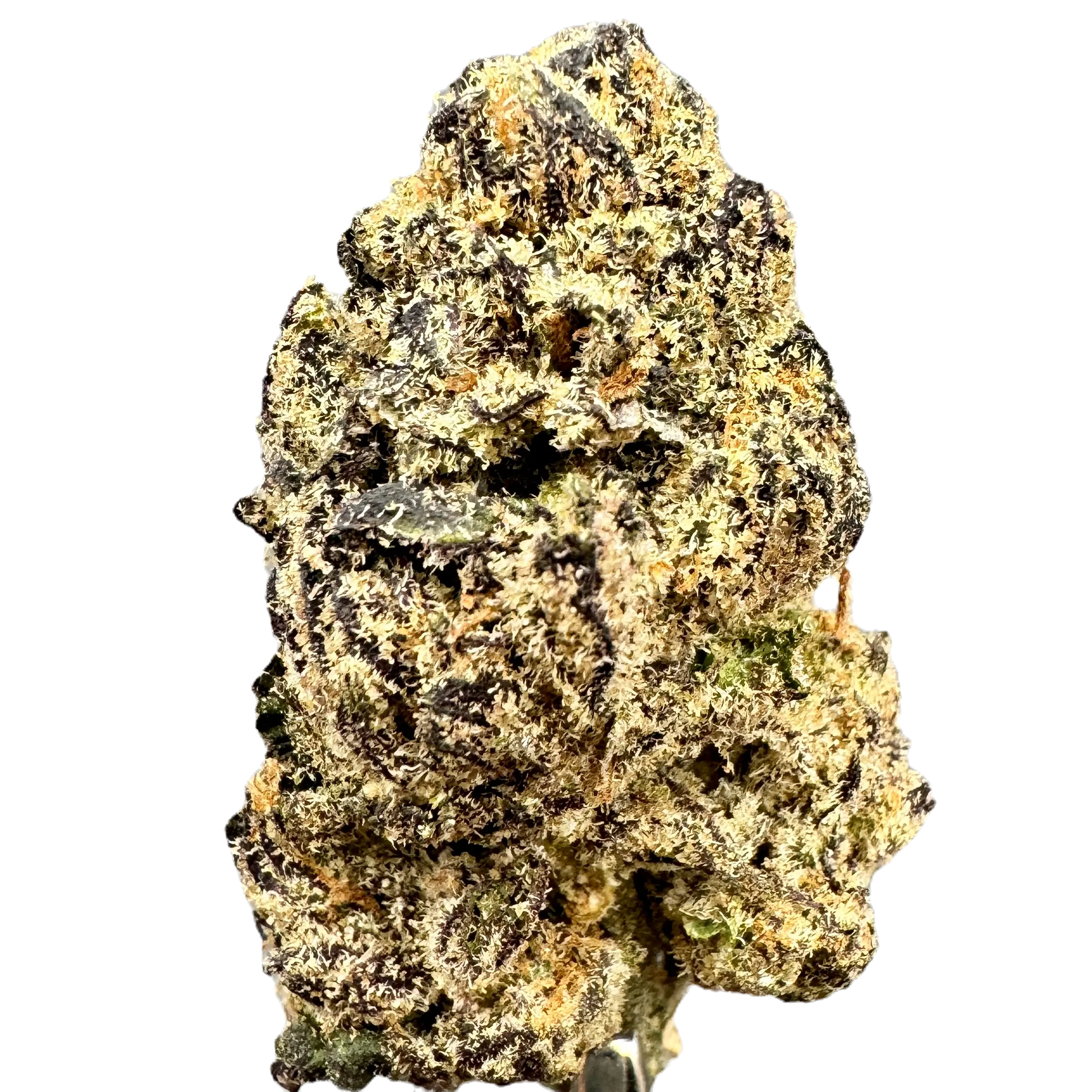 PURPLE RUNTZ Hybrid - by Carolina Hemp Cafe - THCA Cannabis Delta-9 Indoor-Grown Top Shelf Flower Carolina Hemp Cafe