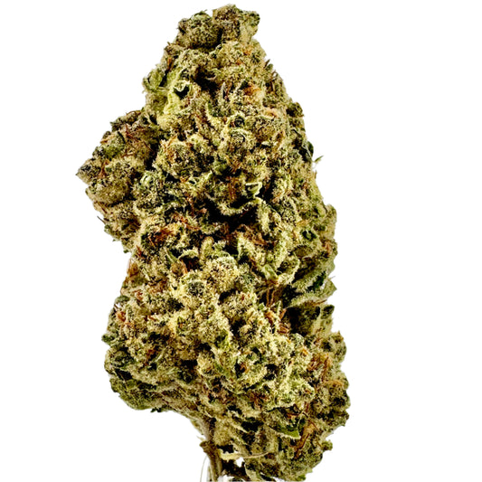 Close-up of a cannabis bud on a white background