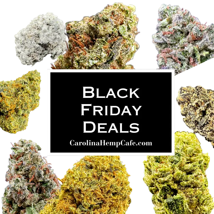 BLACK FRIDAY DEAL - 8TH THCA FLOWER BUNDLE Product vendor Bundle  Carolina Hemp Cafe