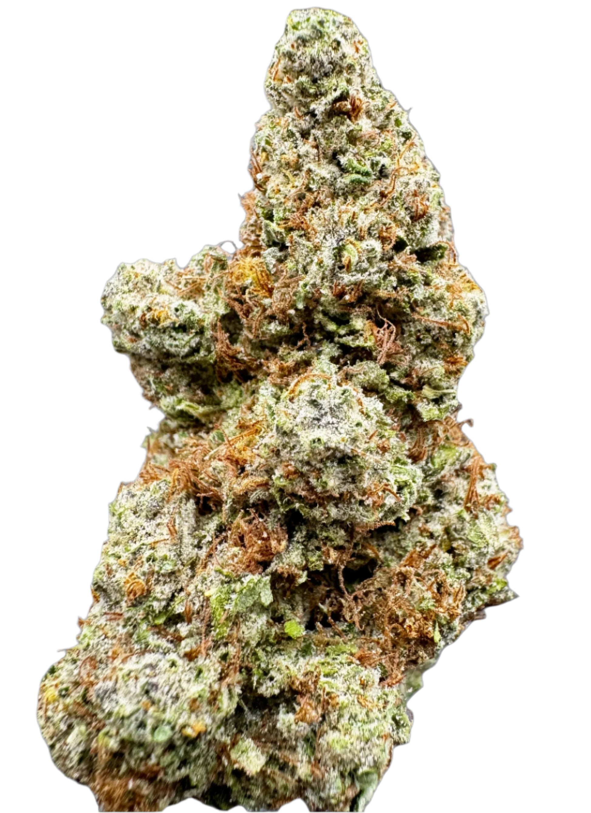 Close-up of a cannabis bud with green and orange hues on a white background