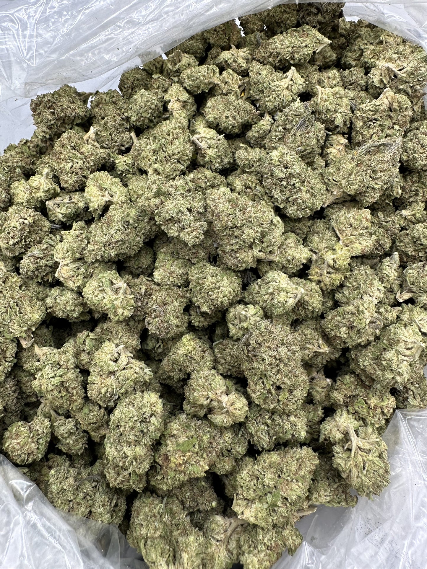 Bulk Wholesale THCA Flower | Top Shelf Collection | Multi-Strain Selection