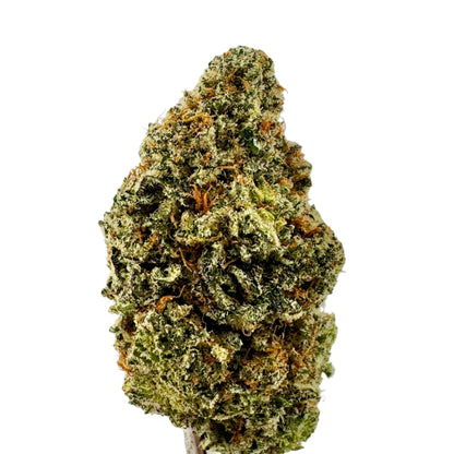 Guava Cookies – Sativa | 35.7% THCA Premium Indoor Flower