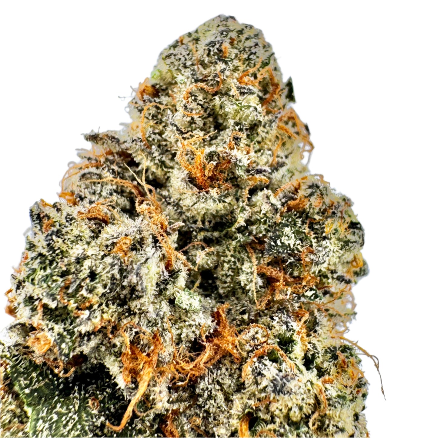 Guava Cookies – Sativa | 35.7% THCA Premium Indoor Flower
