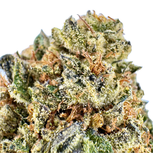 Close-up of a cannabis bud with a clear blue sky background