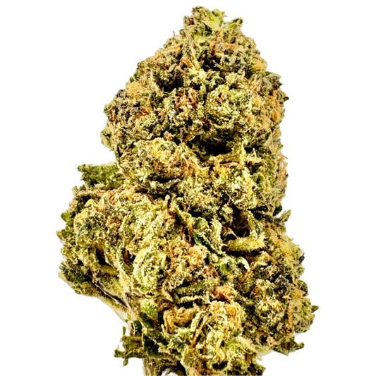 Close-up of a cannabis bud on a light gray background