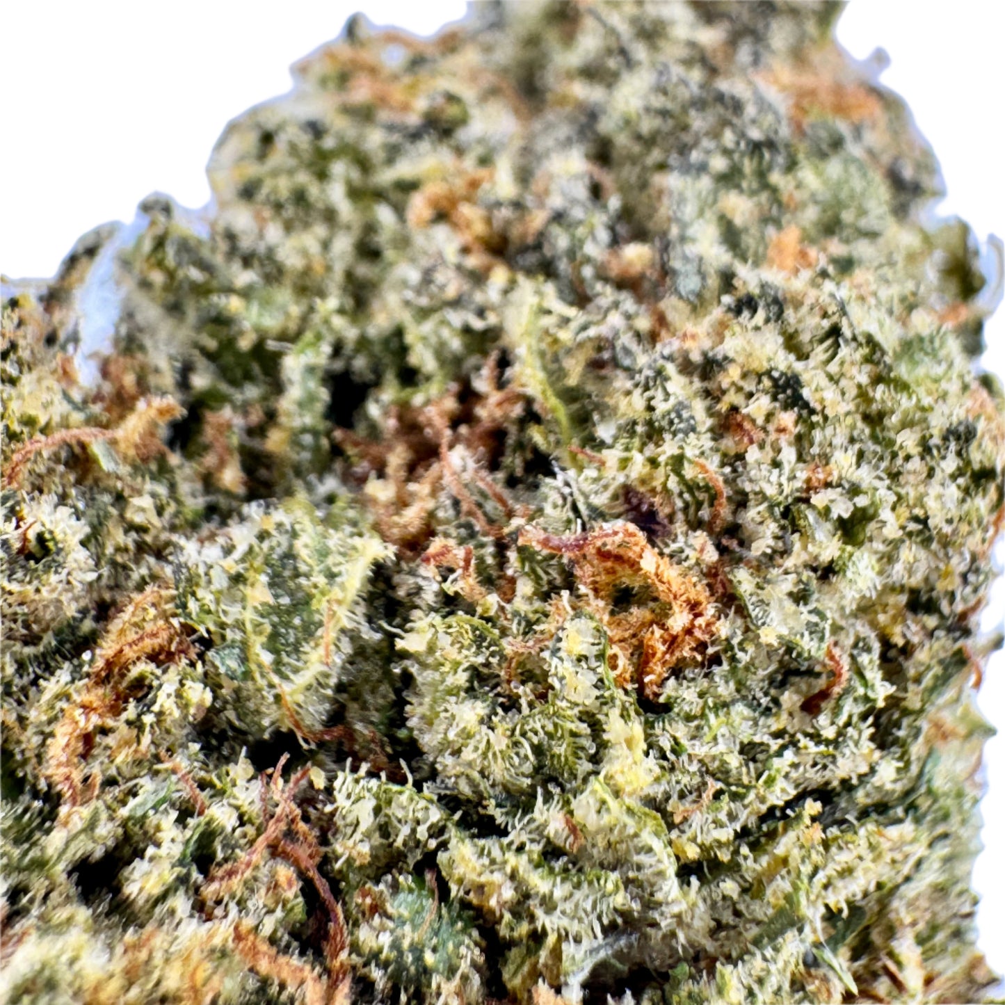 Close-up of a cannabis bud with trichomes against a blue sky.