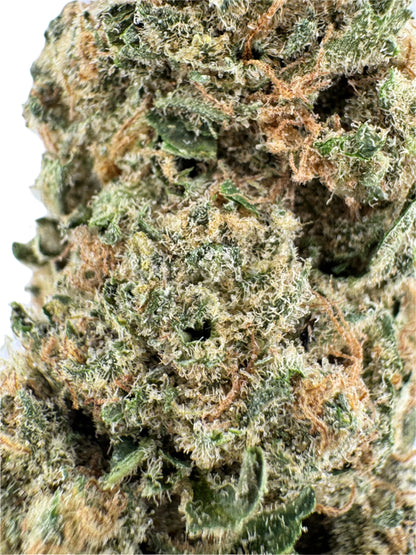 Close-up of cannabis bud with trichomes on a light blue background