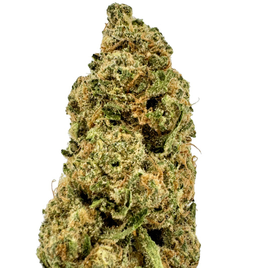 Close-up of a cannabis bud on a light gray background