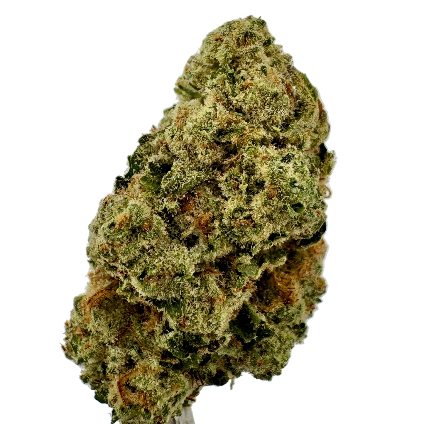 Orange Creamsicle THCA Flower – 31.2% Sativa, 5% Terpenes