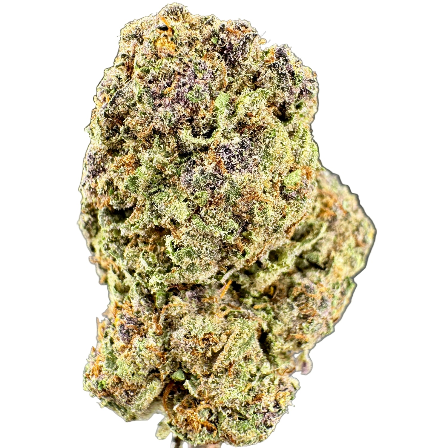Close-up of a green and purple cannabis bud on awhite background