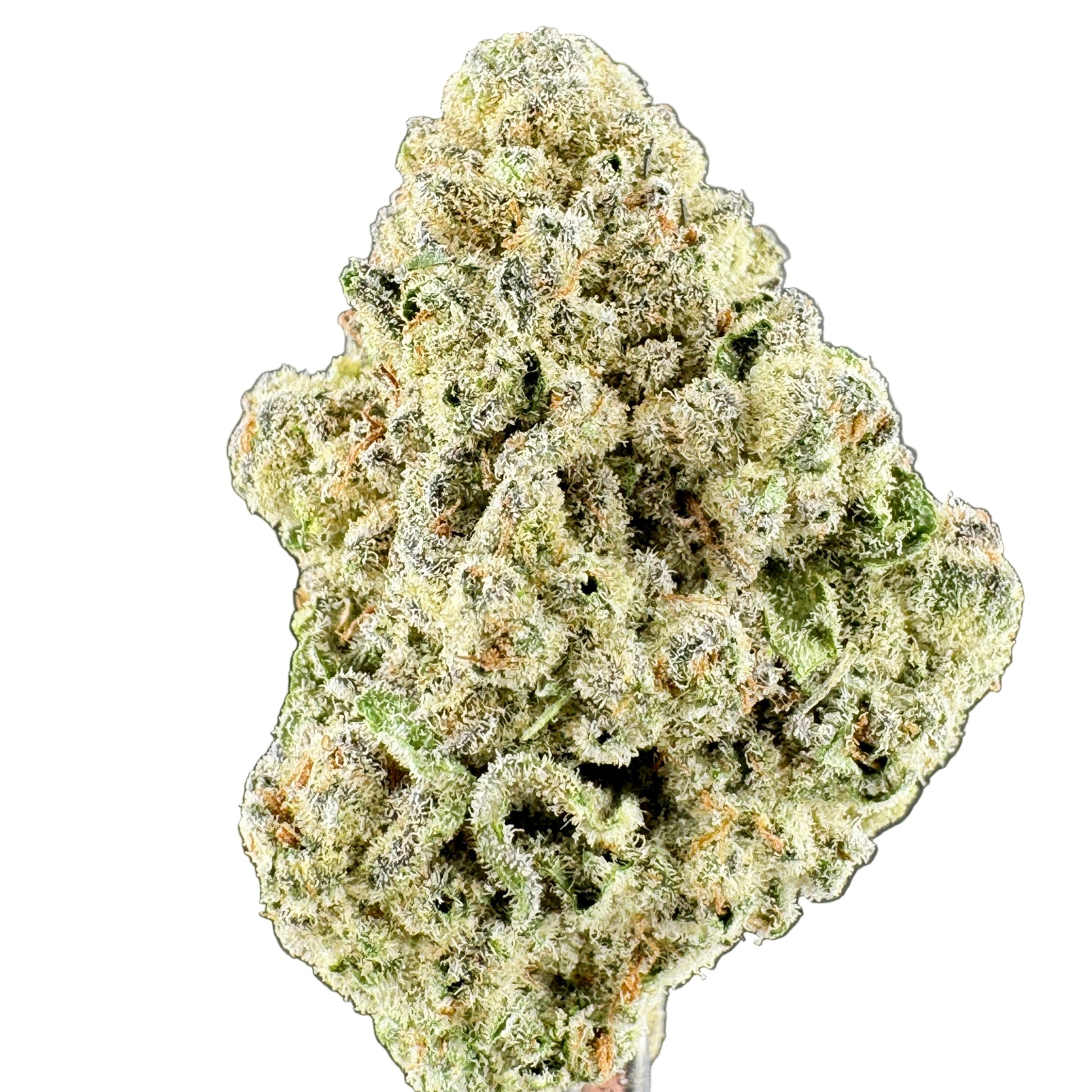 Close-up of a cannabis bud on a dark background