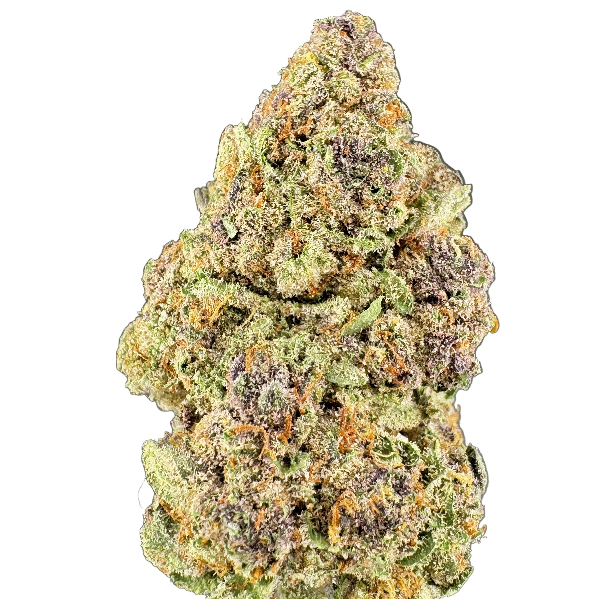 Close-up of a cannabis bud on a gray background