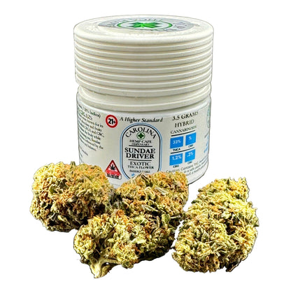 Jar of Carolina Hemp Cafe Sundae Driver cannabis with dried buds on a gray background