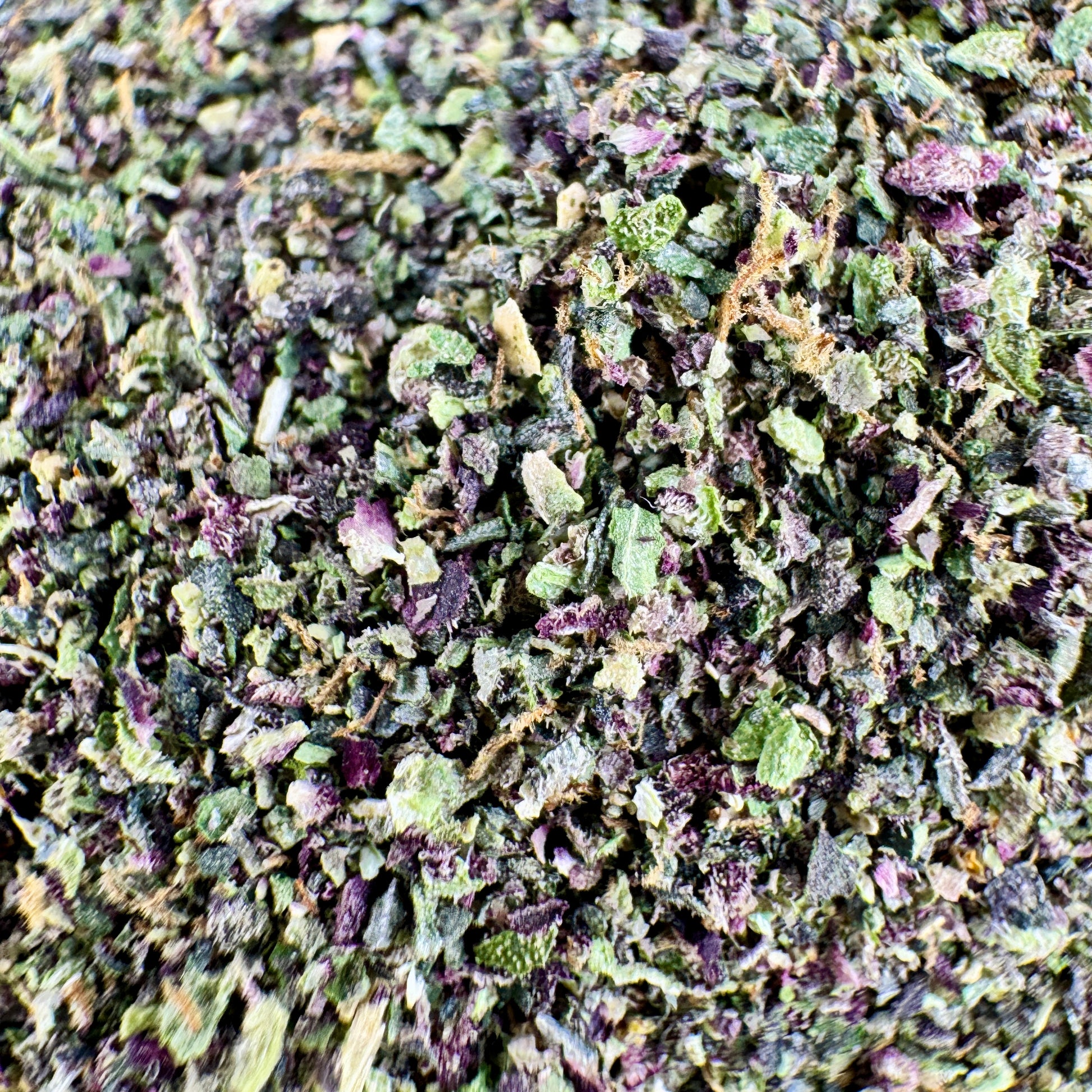 Close-up of dried green and purple herbs