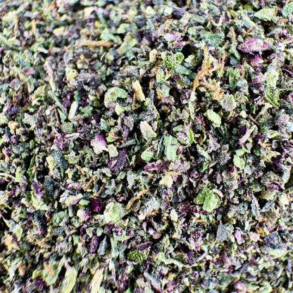 Close-up of dried green and purple herbs