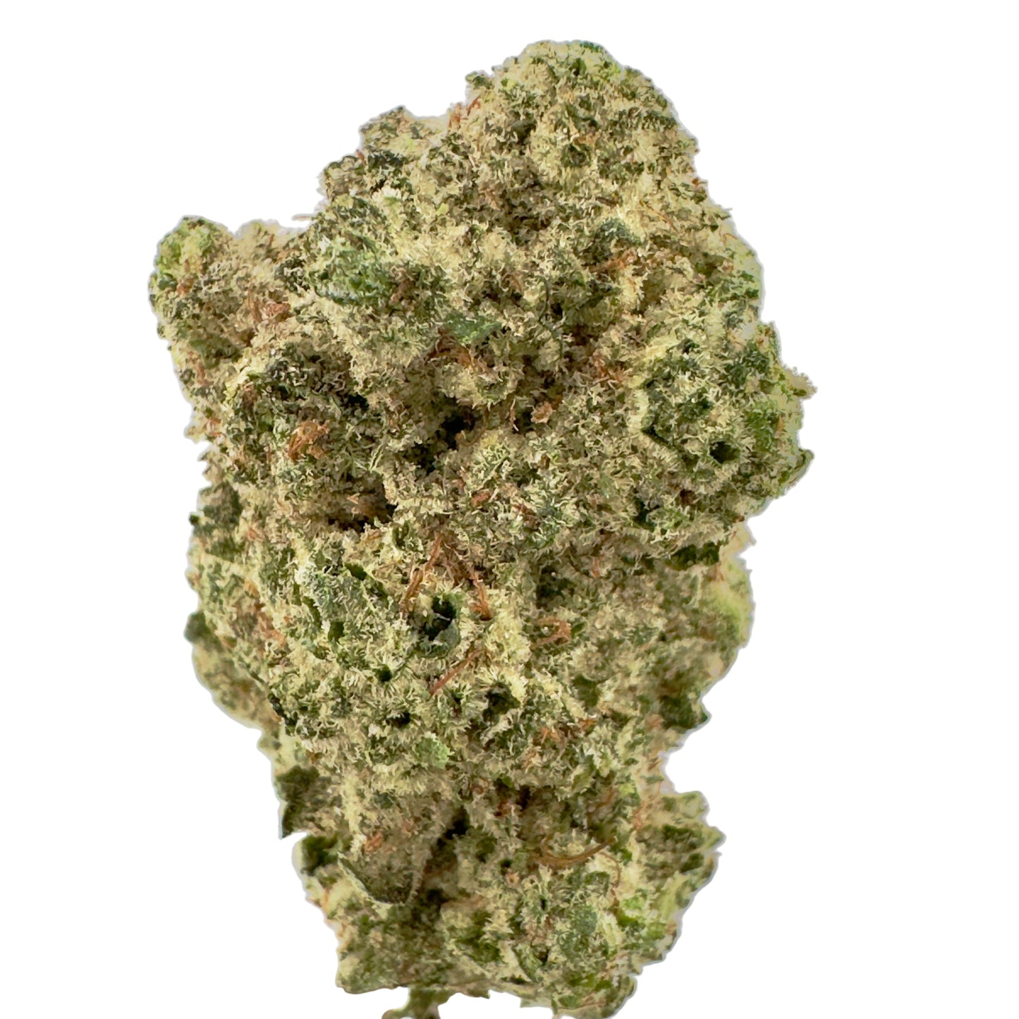 Close-up of a cannabis bud on a light gray background