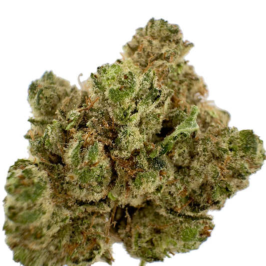 Close-up of a cannabis bud on a white background