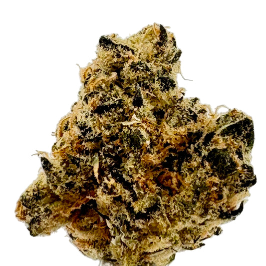 Close-up of a cannabis bud on a light gray background