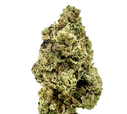 Close-up of a cannabis bud on a light gray background